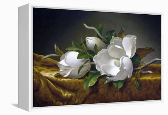 Magnolias on Gold Velvet Cloth-Martin Johnson Heade-Framed Premier Image Canvas