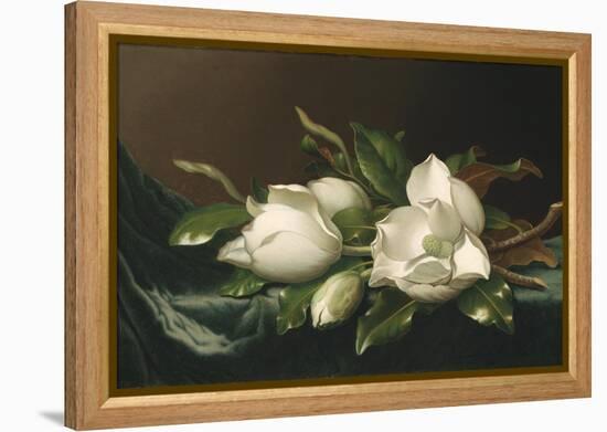 Magnolias on Light Blue Velvet Cloth, 1885/95-Martin Johnson Heade-Framed Premier Image Canvas