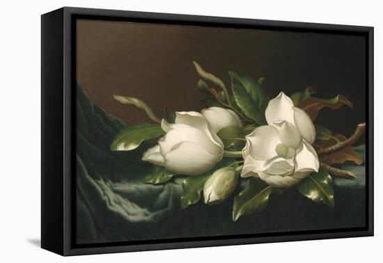 Magnolias on Light Blue Velvet Cloth, 1885/95-Martin Johnson Heade-Framed Premier Image Canvas