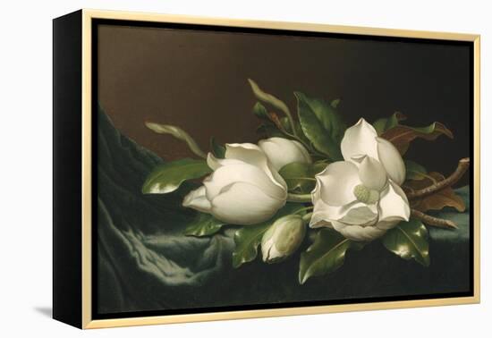 Magnolias on Light Blue Velvet Cloth, 1885/95-Martin Johnson Heade-Framed Premier Image Canvas