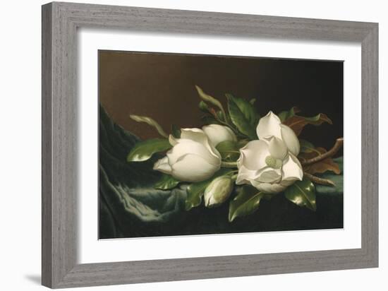 Magnolias on Light Blue Velvet Cloth, 1885/95-Martin Johnson Heade-Framed Giclee Print