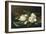 Magnolias on Light Blue Velvet Cloth, 1885/95-Martin Johnson Heade-Framed Giclee Print