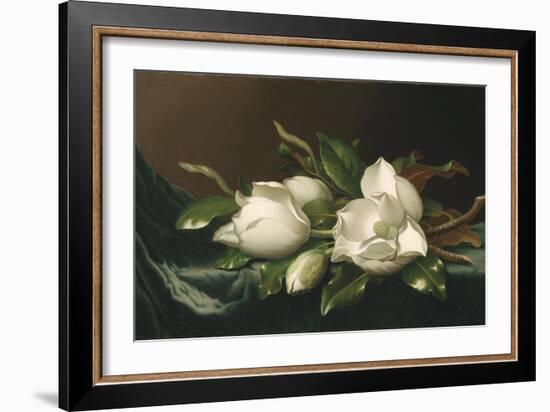 Magnolias on Light Blue Velvet Cloth, 1885/95-Martin Johnson Heade-Framed Giclee Print