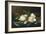 Magnolias on Light Blue Velvet Cloth, 1885/95-Martin Johnson Heade-Framed Giclee Print