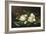 Magnolias on Light Blue Velvet Cloth, 1885/95-Martin Johnson Heade-Framed Giclee Print