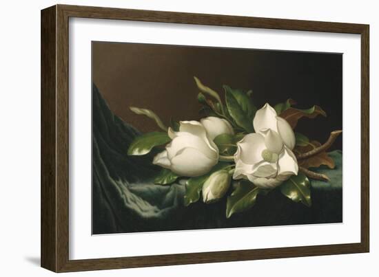 Magnolias on Light Blue Velvet Cloth, 1885/95-Martin Johnson Heade-Framed Giclee Print