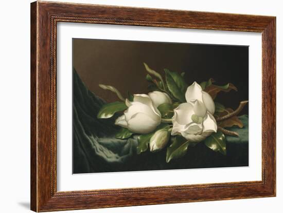 Magnolias on Light Blue Velvet Cloth, 1885/95-Martin Johnson Heade-Framed Giclee Print