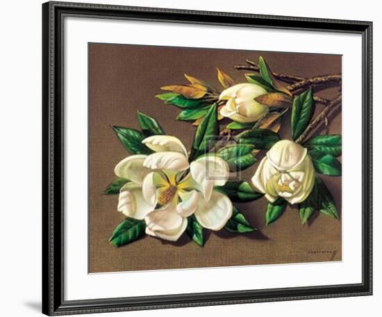 Magnolias-Vladimir Tretchikoff-Framed Art Print