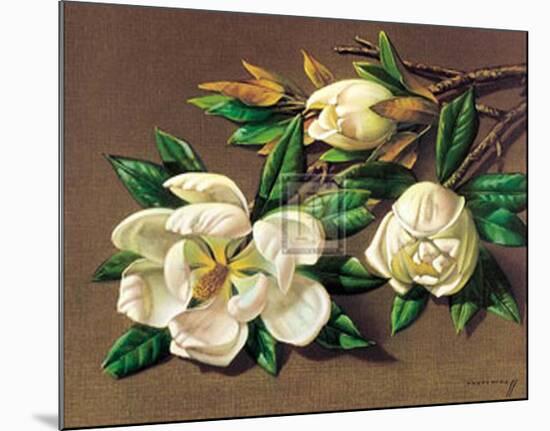 Magnolias-Vladimir Tretchikoff-Mounted Art Print
