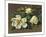 Magnolias-Vladimir Tretchikoff-Mounted Premium Giclee Print
