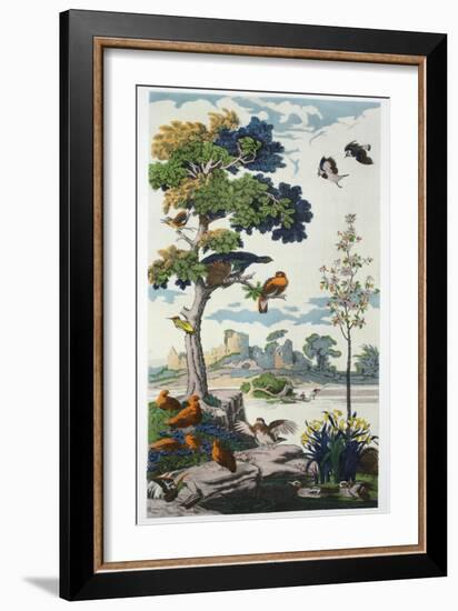 Magnum Opus: Capercailzie, Pub. 1933 (Colour Litho)-Harry Wearne-Framed Giclee Print