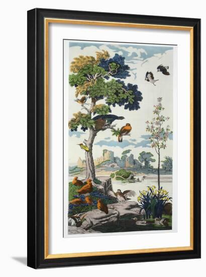 Magnum Opus: Capercailzie, Pub. 1933 (Colour Litho)-Harry Wearne-Framed Giclee Print