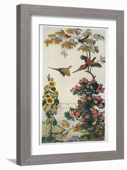 Magnum Opus: Pheasants, Pub. 1933 (Colour Litho)-Harry Wearne-Framed Giclee Print