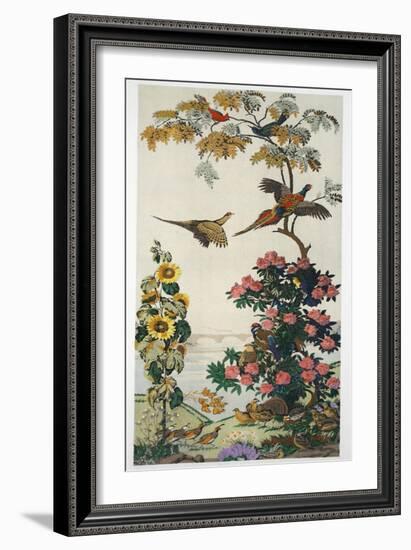 Magnum Opus: Pheasants, Pub. 1933 (Colour Litho)-Harry Wearne-Framed Giclee Print