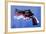 Magnum Revolver on Blue-Michael Tompsett-Framed Art Print