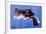 Magnum Revolver on Blue-Michael Tompsett-Framed Art Print