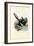 Magpie, 1863-79-Raimundo Petraroja-Framed Giclee Print