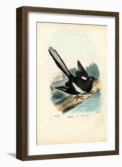 Magpie, 1863-79-Raimundo Petraroja-Framed Giclee Print