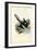 Magpie, 1863-79-Raimundo Petraroja-Framed Giclee Print