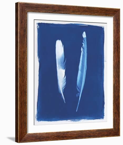 Magpie Feathers-Sarah Cheyne-Framed Giclee Print