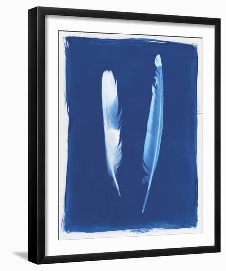 Magpie Feathers-Sarah Cheyne-Framed Giclee Print