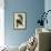 Magpie Jays-John James Audubon-Framed Giclee Print displayed on a wall