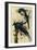 Magpie Jays-John James Audubon-Framed Giclee Print