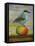 Magpie On A Mango-Leah Saulnier-Framed Premier Image Canvas