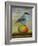 Magpie On A Mango-Leah Saulnier-Framed Giclee Print