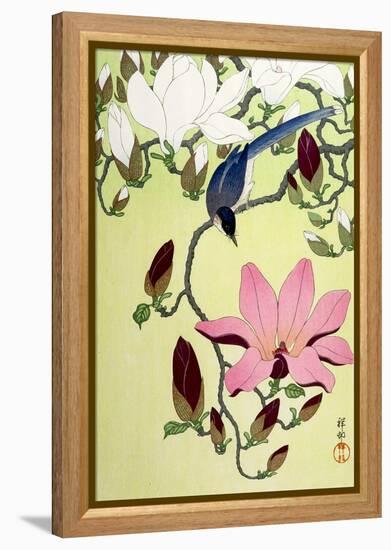 Magpie with Pink and White Magnolia Blossoms-Koson Ohara-Framed Premier Image Canvas