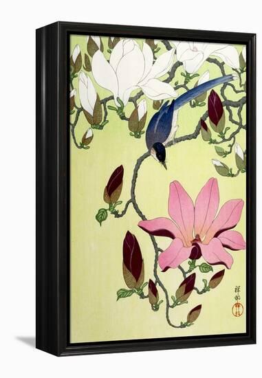 Magpie with Pink and White Magnolia Blossoms-Koson Ohara-Framed Premier Image Canvas