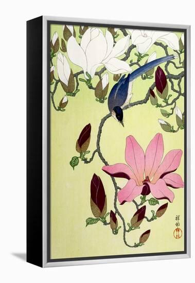 Magpie with Pink and White Magnolia Blossoms-Koson Ohara-Framed Premier Image Canvas