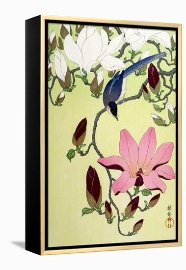 Magpie with Pink and White Magnolia Blossoms-Koson Ohara-Framed Premier Image Canvas