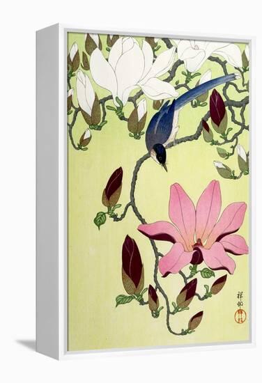 Magpie with Pink and White Magnolia Blossoms-Koson Ohara-Framed Premier Image Canvas