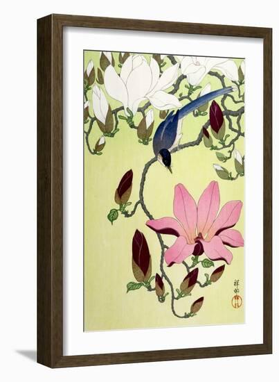 Magpie with Pink and White Magnolia Blossoms-Koson Ohara-Framed Giclee Print