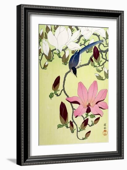 Magpie with Pink and White Magnolia Blossoms-Koson Ohara-Framed Giclee Print