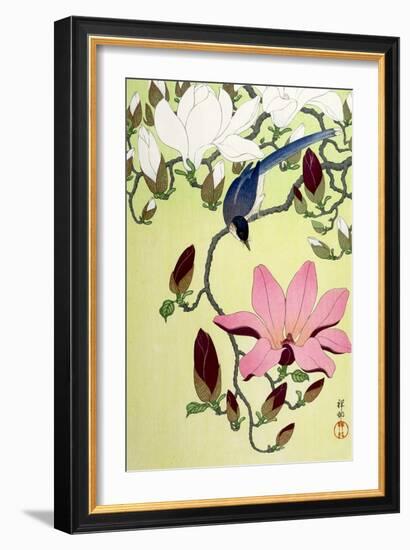 Magpie with Pink and White Magnolia Blossoms-Koson Ohara-Framed Giclee Print