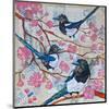 Magpies And Pink Blossoms-null-Mounted Art Print