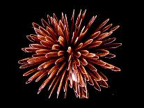 4th of July Fireworks-Magrath Photography-Framed Photographic Print