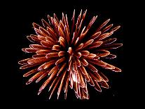 4th of July Fireworks-Magrath Photography-Photographic Print