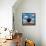 Magritte Cat-Chameleon Design, Inc.-Framed Stretched Canvas displayed on a wall