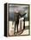 Magritte: Man From The Sea-Rene Magritte-Framed Premier Image Canvas