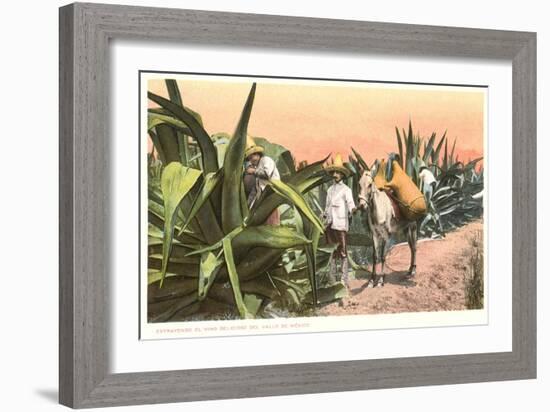 Maguey Juice Harvest-null-Framed Art Print