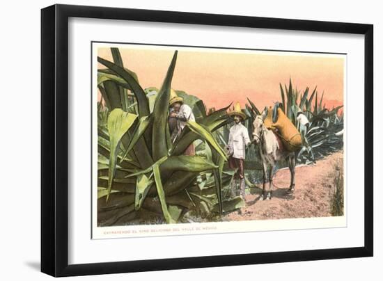 Maguey Juice Harvest-null-Framed Art Print