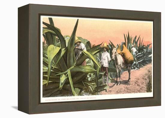 Maguey Juice Harvest-null-Framed Stretched Canvas