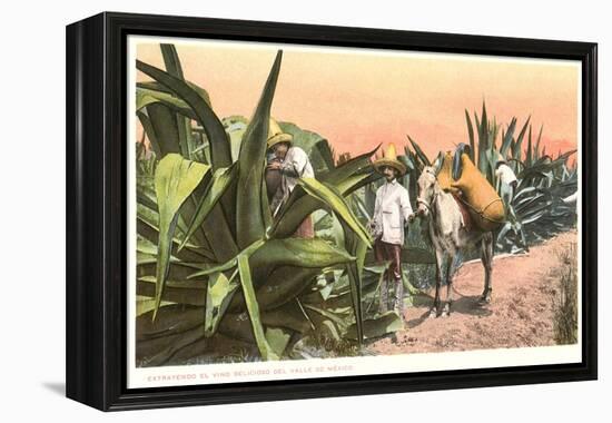 Maguey Juice Harvest-null-Framed Stretched Canvas