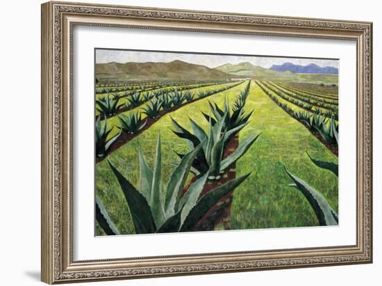 Maguey Plants with Cloudy Sky, 1999-Pedro Diego Alvarado-Framed Giclee Print