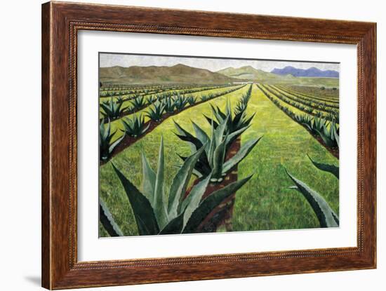 Maguey Plants with Cloudy Sky, 1999-Pedro Diego Alvarado-Framed Giclee Print