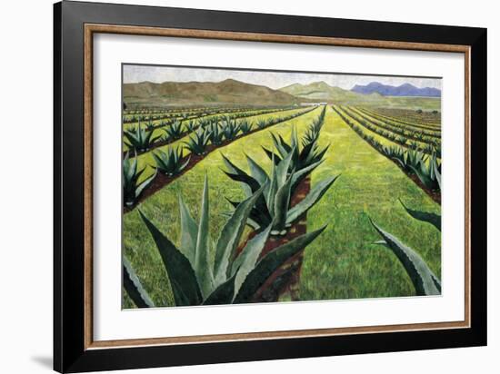 Maguey Plants with Cloudy Sky, 1999-Pedro Diego Alvarado-Framed Giclee Print