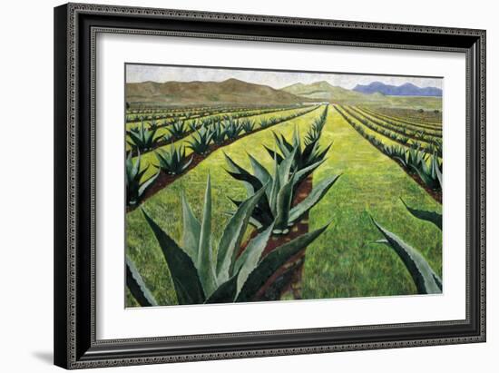 Maguey Plants with Cloudy Sky, 1999-Pedro Diego Alvarado-Framed Giclee Print